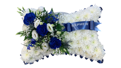 Blue And White Pillow Product Image