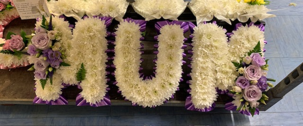 Lilac And Purple Mum