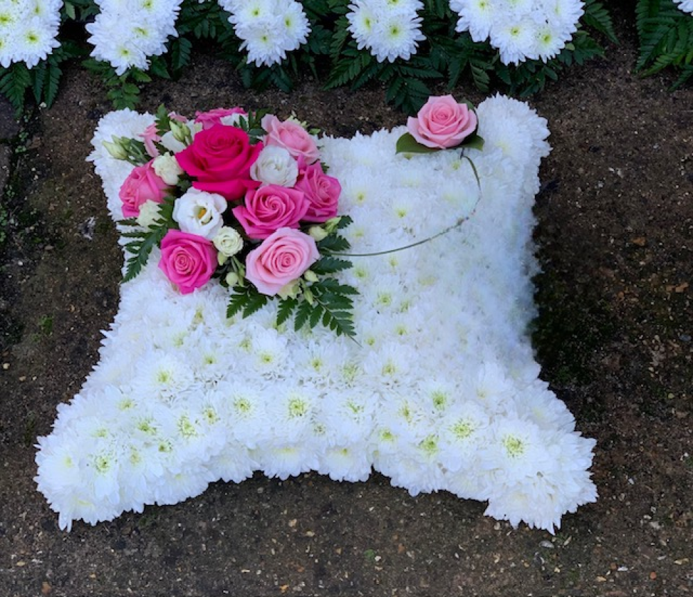Two Tone Pink Cushion